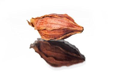 《暗黑破坏神4》发售时或许真的“没有奶牛关”